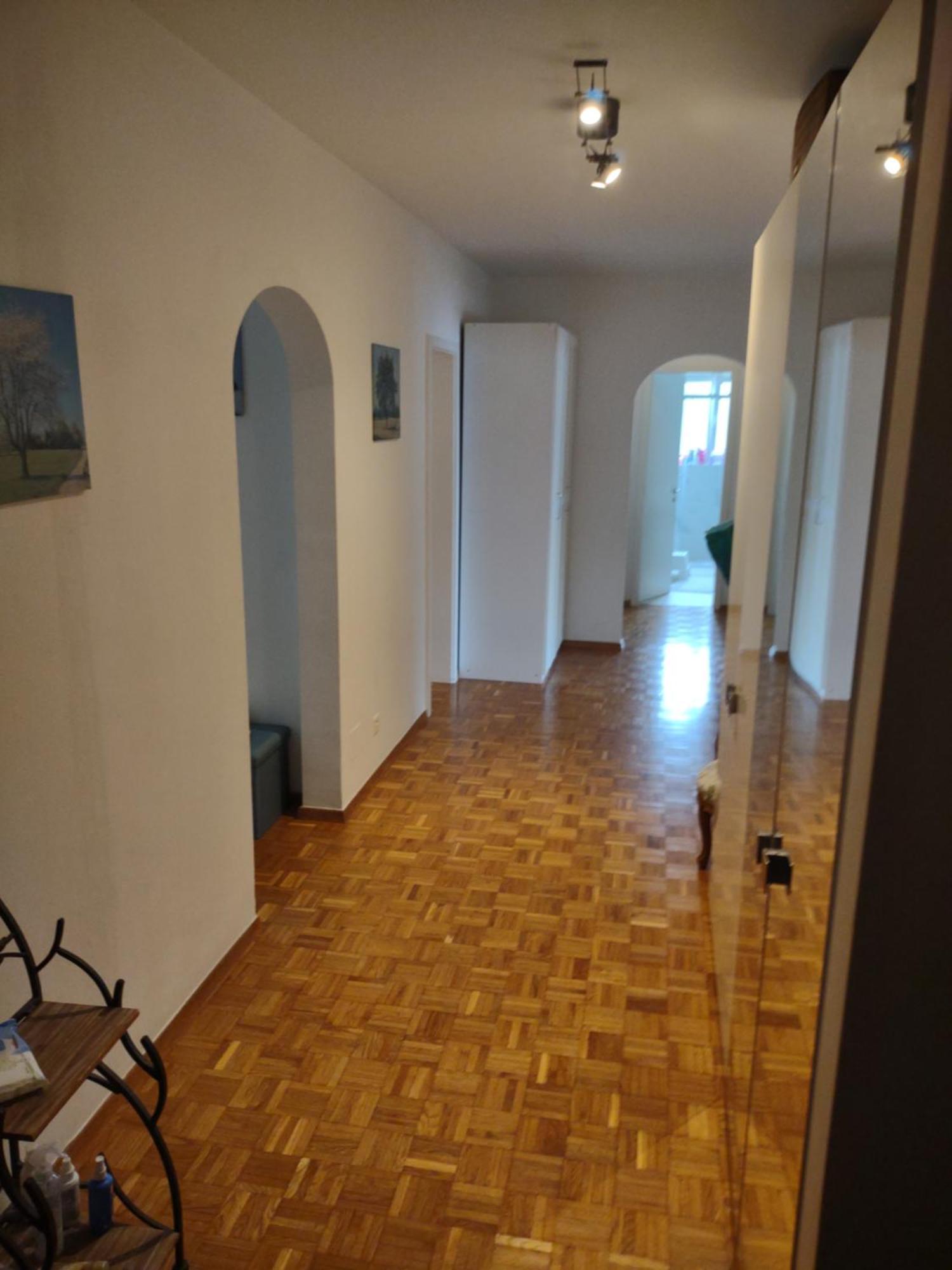 Appartamento Bellavista Lugano Massagno מראה חיצוני תמונה
