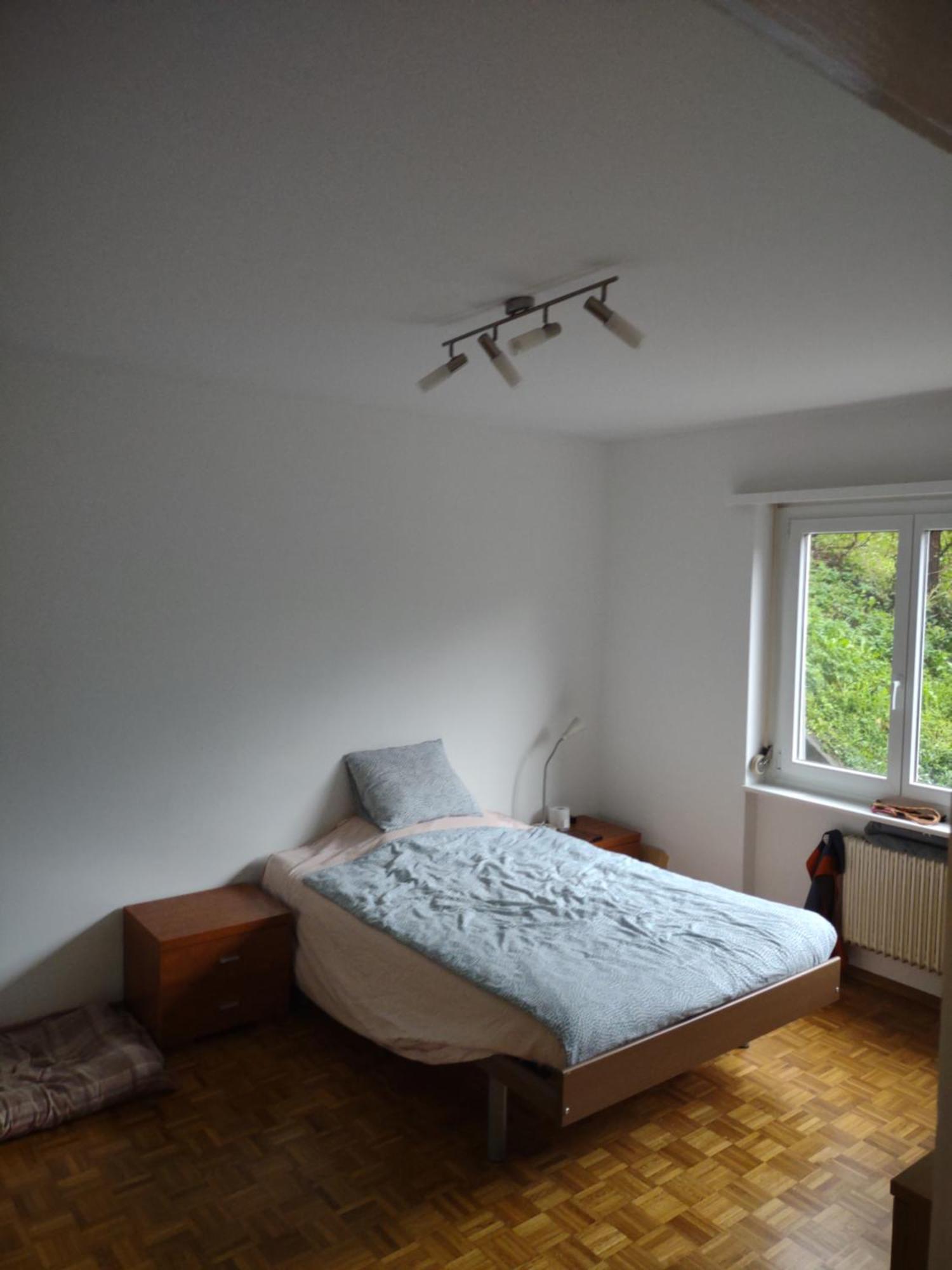 Appartamento Bellavista Lugano Massagno מראה חיצוני תמונה